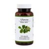 Slippery Elm Peel - Ulmus Rubra - 100 Capsules