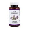 Vervain - Verbena Officinalis - 100 Capsules